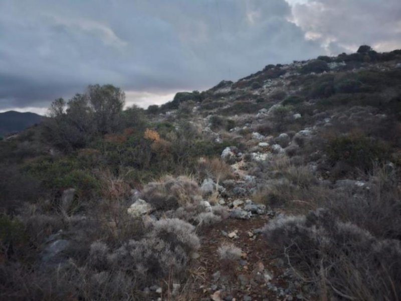 Sisi Kreta, Sisi: Gruppe benachbarter Grundstücke mit Meerblick zu verkaufen Grundstück kaufen